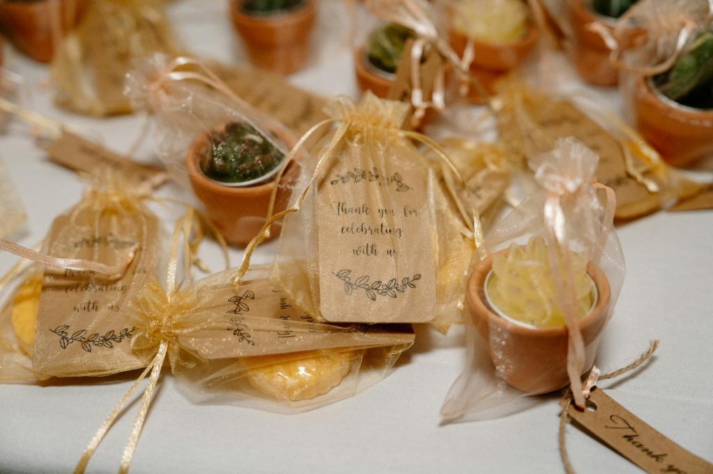 Charming wedding favors featuring potted succulents in elegant organza bags, perfect for a memorable celebration.