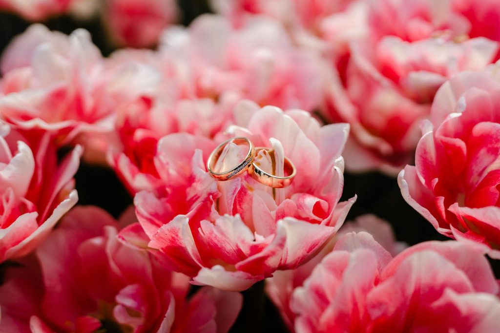 Elegant gold wedding rings displayed on vibrant pink flowers, symbolizing love and commitment.