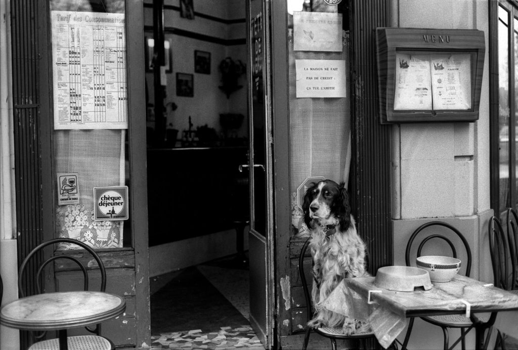 A warm Parisian cafe exterior with a cute dog sitting patiently beside a table. Black and white image.