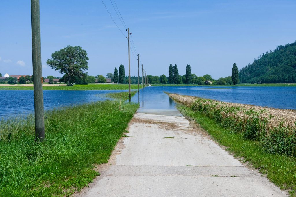 A scenic view of a flooded pathway surrounded by fields and water in Switzerland during summer.