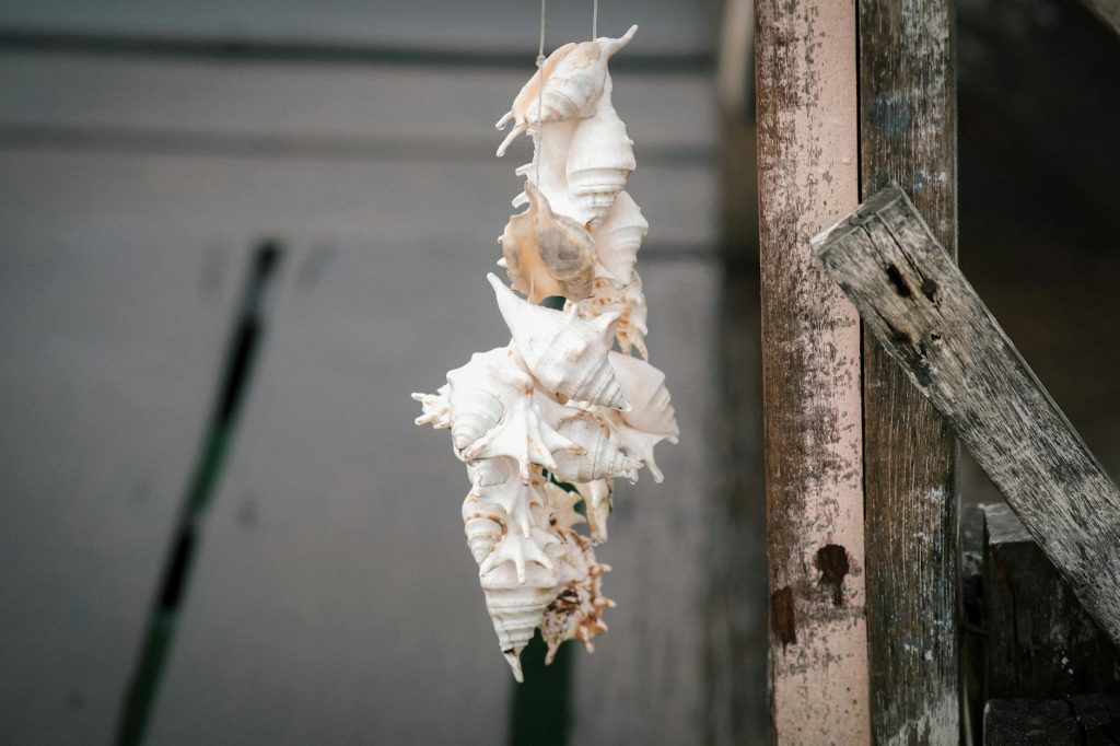 Cara Membuat Resepsi Nikah yang Hemat dan Mewah: Tips dan Trik Sukses