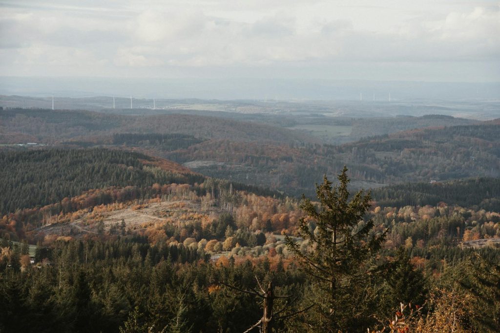 Captivating autumn view of forested hills in Germany with a sky backdrop.
