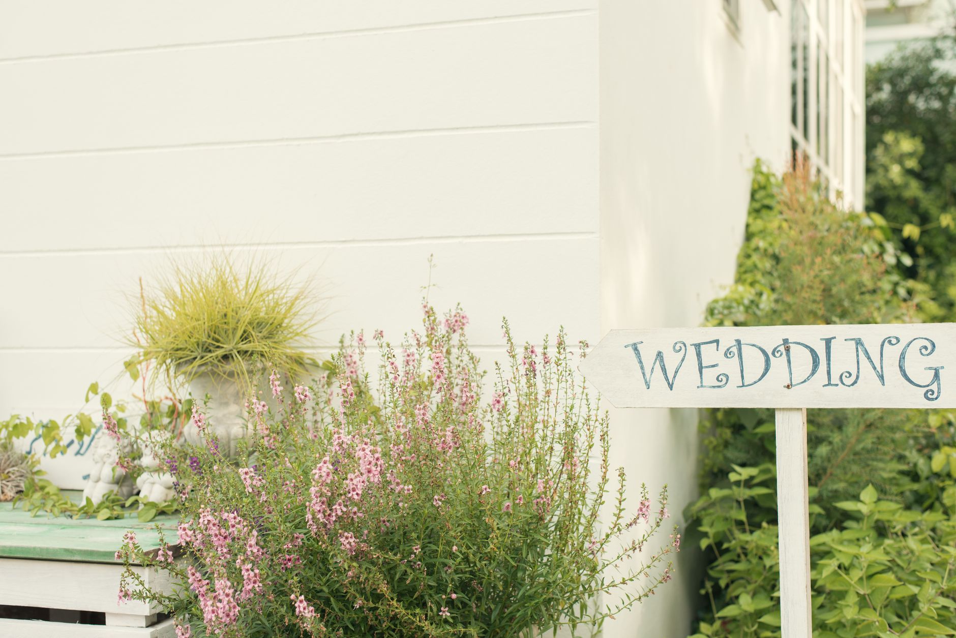 Dekorasi Rustic Wedding yang Hangat dan Natural