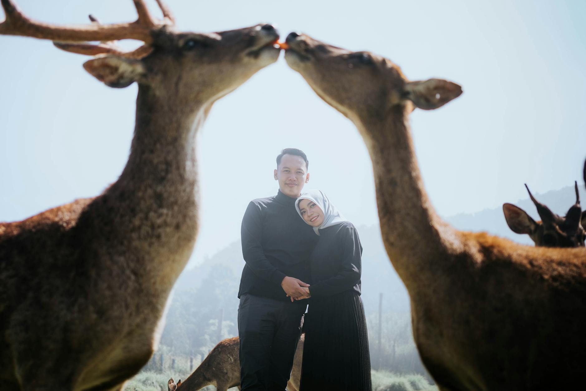 Tren Terbaru Foto Prewedding di Sukabumi: Lokasi, Gaya dan Konsep